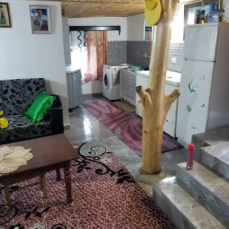 Bujtina Kashnjeti Te Lush Zefi * Lekbibaj