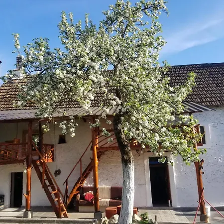 Lodge Bujtina Kashnjeti Te Lush Zefi *