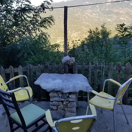 Bujtina Kashnjeti Te Lush Zefi * Lekbibaj