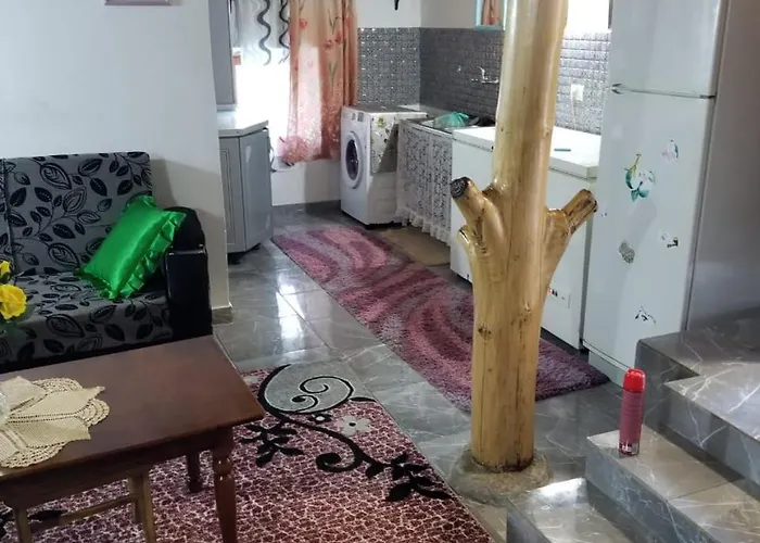 Bujtina Kashnjeti Te Lush Zefi * Lekbibaj